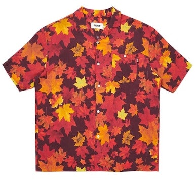 palace-leaf-man-alone-shirt-brown