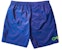Palace Oakley Thermo Short Blue
