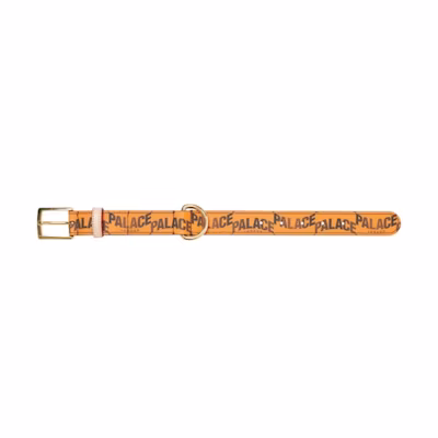Palace P-Lux Dog Collar Orange