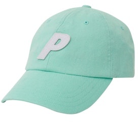 palace-p-6-panel-mint