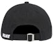 Order Palace P 6 ‘Panel (SS20) Black