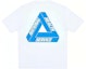 Order PALACE SS20 Tri-Donator 慈善T恤 男女限量版 P18TS208