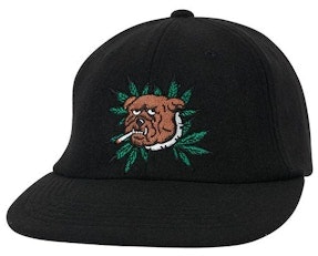 palace-weed-bulldog-wool-6-panel-black