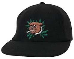 Palace Weed Bulldog Wool 6-Panel Black