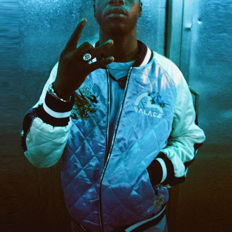 Sizing PALACE x EVISU Reversible Embroidered Dragon Logo Puffer Jacket Blue/Pink Unisex P21EVJK001