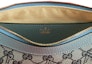 Lookbook Palace x Gucci GG-P Canvas Half-Moon Mini Bag Pale Blue