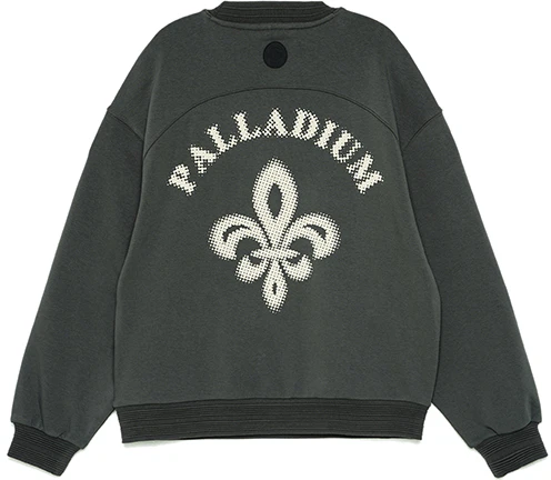 palladium-iris-embroidered-oversized-hoodie-unisex-black-raven-109201-004