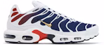 Buy Paris Saint-Germain x Nike Air Max Plus 'Kit Laman' FZ4776-100
