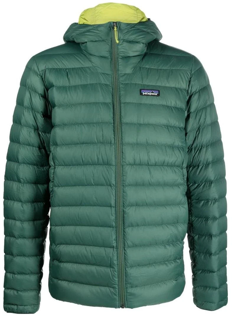patagonia-down-sweater-800-fill-lightweight-waterproof-hooded-jacket-84702