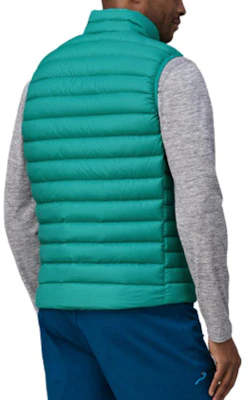 Patagonia Down Sweater 800-Fill Lightweight Windproof Vest. 84623 11
