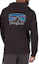 Buy Patagonia Fitz Roy Horizons Logo Pullover Sweatshirt Cetak - 39619