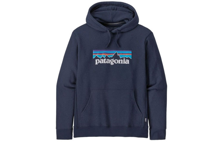 Patagonia P-6 Logo Fleece Pullover Hoodie for Men 39622