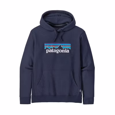 Patagonia P-6 Logo Fleece Pullover Hoodie for Men 39622