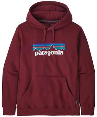 Sudadera con Capucha Patagonia P-6 Logo Polar para Hombre 39622 11