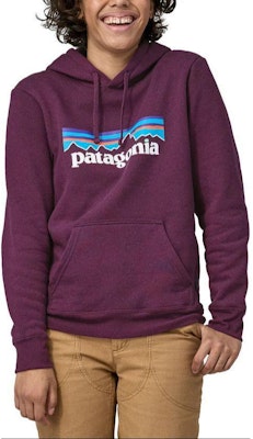 Sudadera con Capucha Patagonia P-6 Logo Polar para Hombre 39622 13