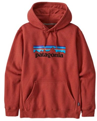 Sudadera con Capucha Patagonia P-6 Logo Polar para Hombre 39622 17