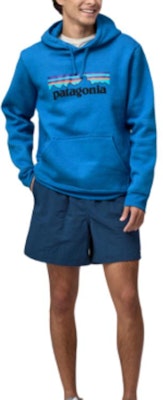 Sudadera con Capucha Patagonia P-6 Logo Polar para Hombre 39622 28