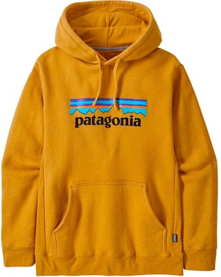 Sudadera con Capucha Patagonia P-6 Logo Polar para Hombre 39622 29