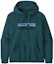 Details for Sudadera con Capucha Patagonia P-6 Logo Polar para Hombre 39622