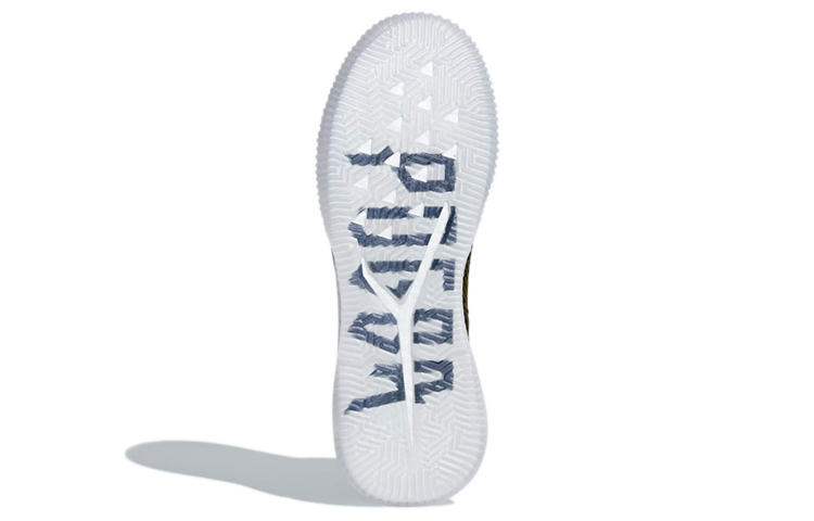 Details for Paul Pogba x adidas Predator 18+ TR 'Cargo Zaitun Hitam' BB7416