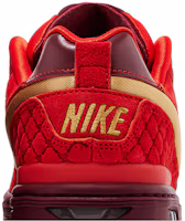Cheap Paul Rodriguez x Nike SB Air Zoom Low 'NBA All Star West' IQ5648-600