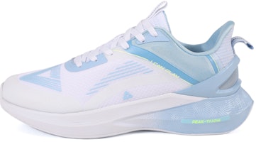 피크 타이치 1.0 로우 (충격흡수 통기성) DH330291 Sizing 피크 타이치 1.0 로우 (충격흡수 통기성) DH330291