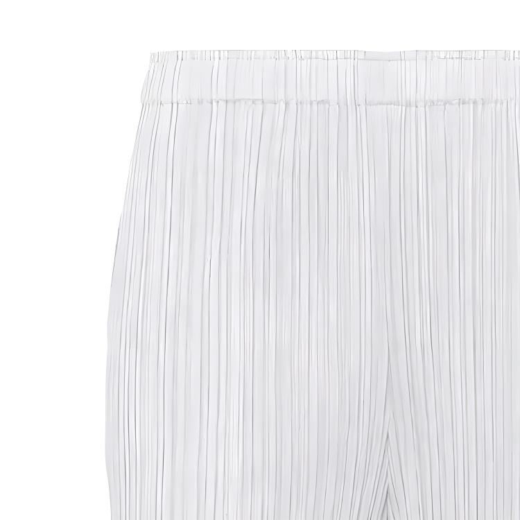 Lookbook PLEATS PLEASE ISSEY MIYAKE ソリッドプリーツストレートパンツ ユニセックス ライトグレー PP55JF111-10