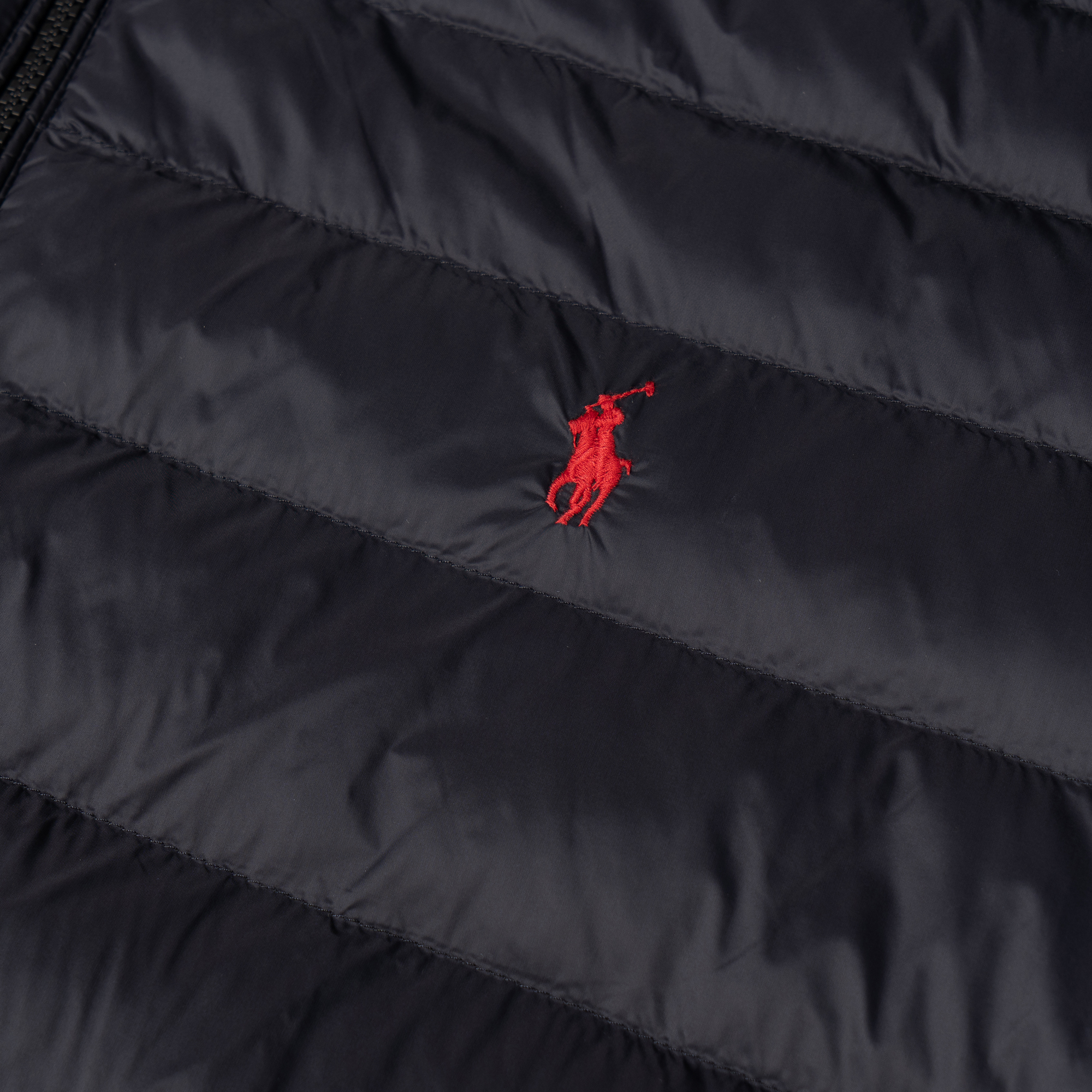 Sizing Polo Ralph Lauren 黑色Logo刺繡拉鍊棉質夾克外套。 710810897-012