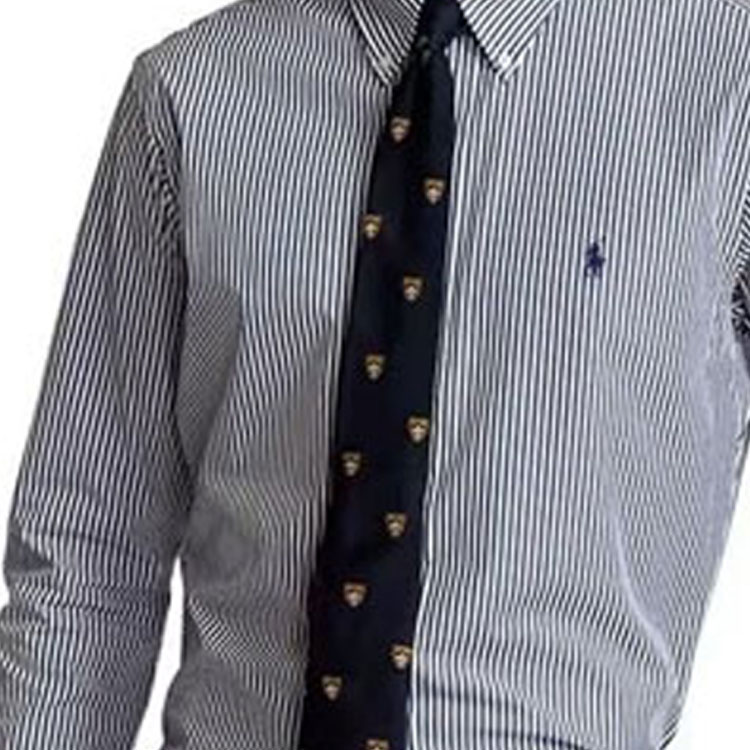 Purchase Polo Ralph Lauren  Blue Striped Logo Embroidered Long Sleeve Shirt. 710811434-011