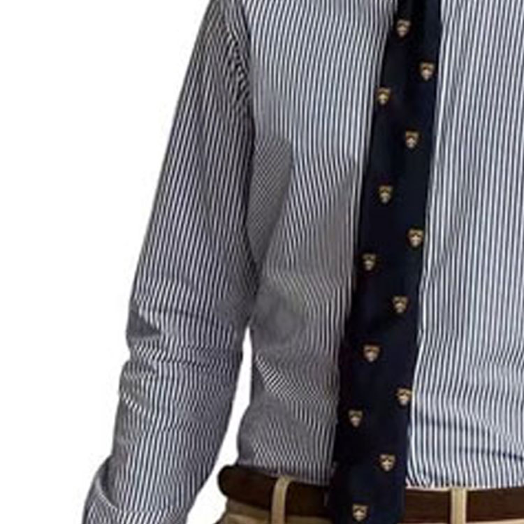 Details for Polo Ralph Lauren  Blue Striped Logo Embroidered Long Sleeve Shirt. 710811434-011