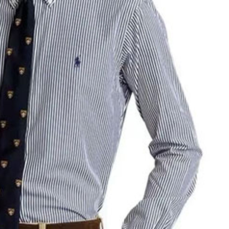 Sizing Polo Ralph Lauren  Blue Striped Logo Embroidered Long Sleeve Shirt. 710811434-011