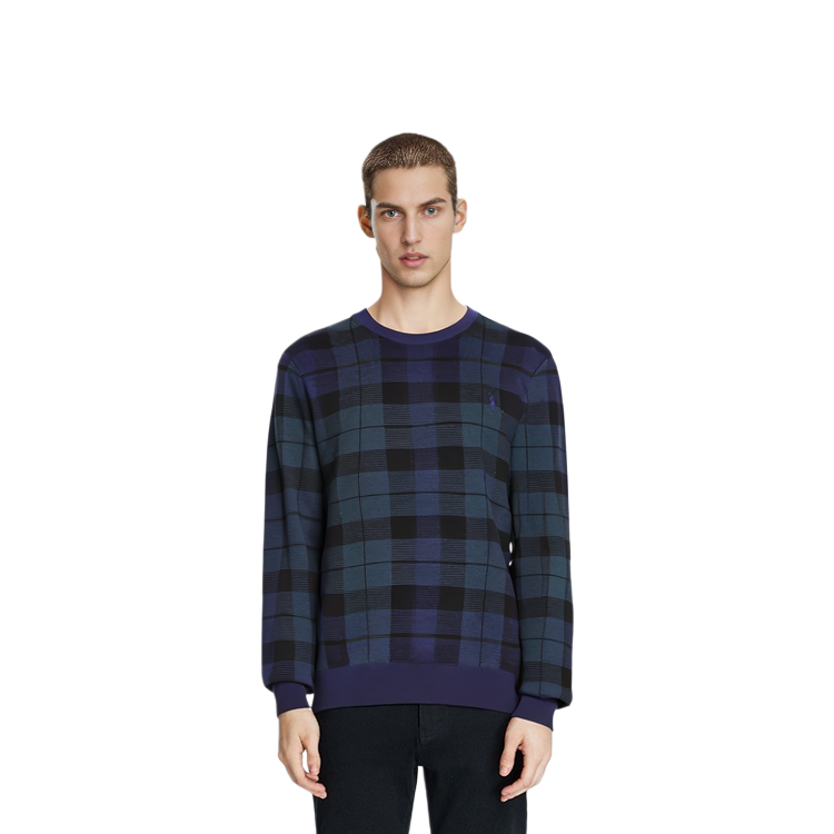 Polo Ralph Lauren  Crewneck Checked Colorblock Sweater Long Sleeve. 710917043-001 圖 5