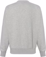 Lookbook Polo Ralph Lauren Crewneck Fleece Sweatshirt with Embroidered Logo - Gray. 710790783-005