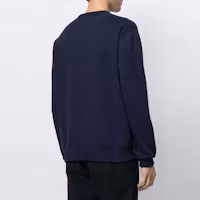 Purchase Polo Ralph Lauren Embroidered Fleece Crewneck Pullover - Blue 710823534-001