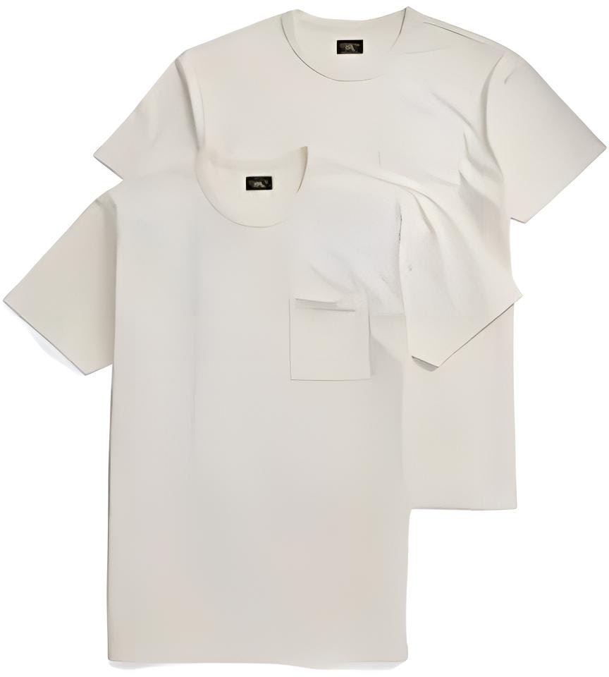 polo-ralph-lauren-solid-crewneck-pocket-t-shirt-set-of-2-off-white-mnrrtsh-1-n820130-100