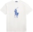 Order Polo Ralph Lauren 經典款漆彩潑墨圓領短袖T恤 男款 710964482-004