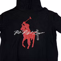 Shop Polo Ralph Lauren FW23 Black Hooded Pullover Long Sleeve Sweatshirt. 710871367-006