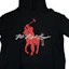 Shop Polo Ralph Lauren FW23 黑色連帽套頭長袖衛衣。 710871367-006