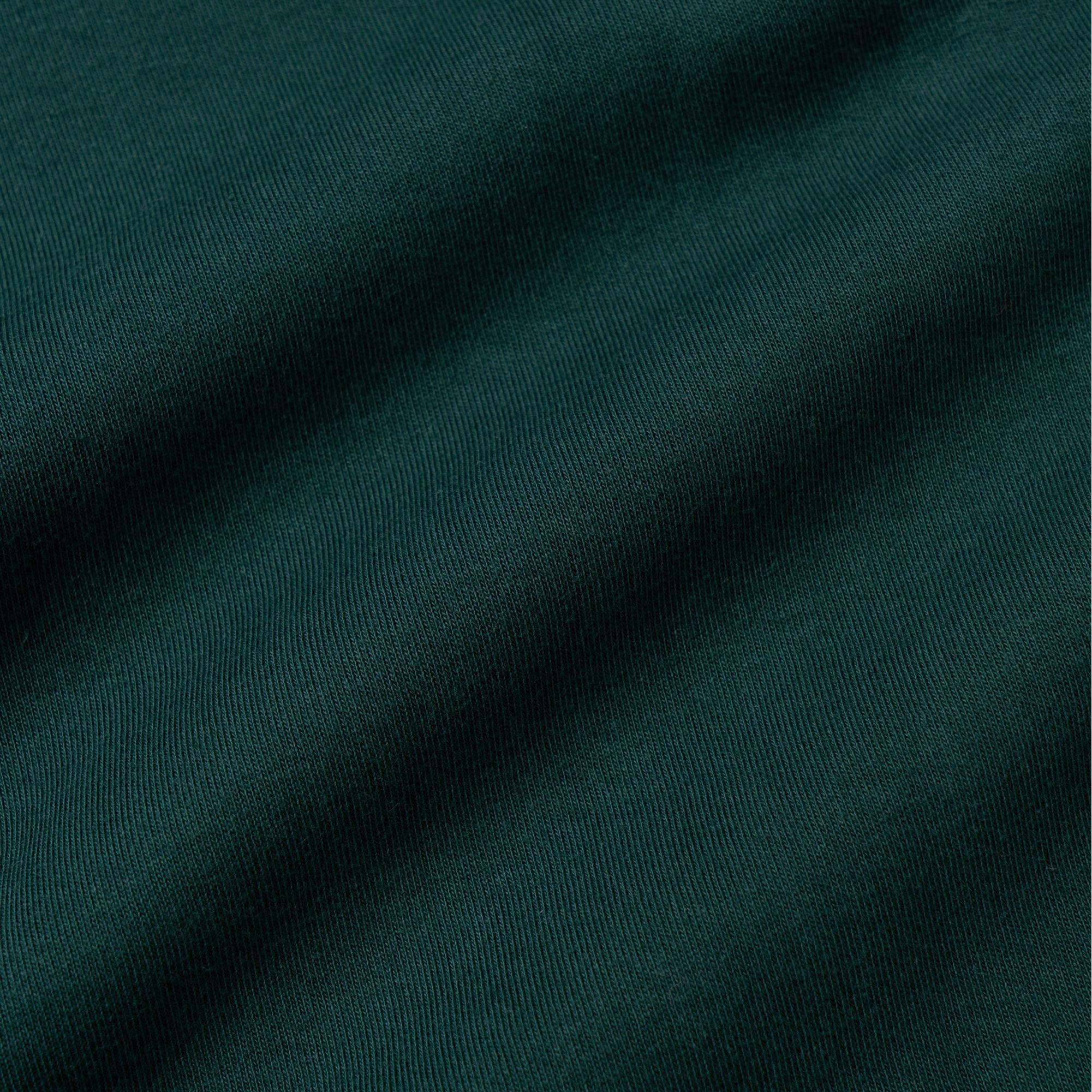 Cheap Polo Ralph Lauren FW23 刺繡小馬標誌羊毛連帽衫 深綠色 MNPOKNI16821122-300