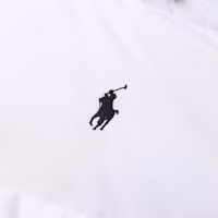 Cheap Polo Ralph Lauren FW24 白色羽絨外套可拆帽設計與小馬標誌 710889959-006