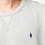 Purchase ポロ ラルフローレン FW24 グレー プルオーバー スウェットシャツ ロゴ刺繍入り 710883334030