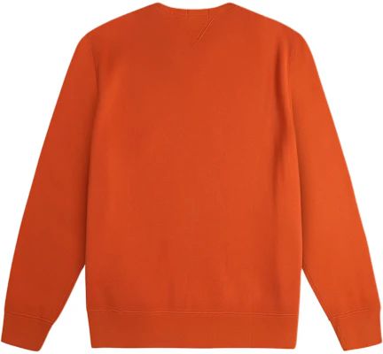 Polo Ralph Lauren FW24 Sweater Oranye Crewneck dengan Logo Pony Bordir 710790783-003 Lookbook Polo Ralph Lauren FW24 Sweater Oranye Crewneck dengan Logo Pony Bordir 710790783-003
