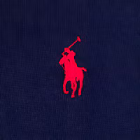 Details for Polo Ralph Lauren Logo Embroidered Half-Zip Long Sleeve Sweatshirt Blue Men’s 710962519-003