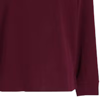 Details for Polo Ralph Lauren Logo Embroidered Half-Zip Pullover Sweatshirt Maroon Mens. 710877001-010