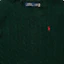 Shop Polo Ralph Lauren Men’s Green Crewneck Sweater with Small Pony Embroidery. 710876762-004