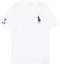 Order Polo Ralph Lauren SS23 刺绣标志纯色白色长袖T恤。 710697554-002
