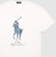 Details for Polo Ralph Lauren SS24 標誌印花圓領T恤 男款 Nevis Island 米白色。 MNPOTSH1N822290-100