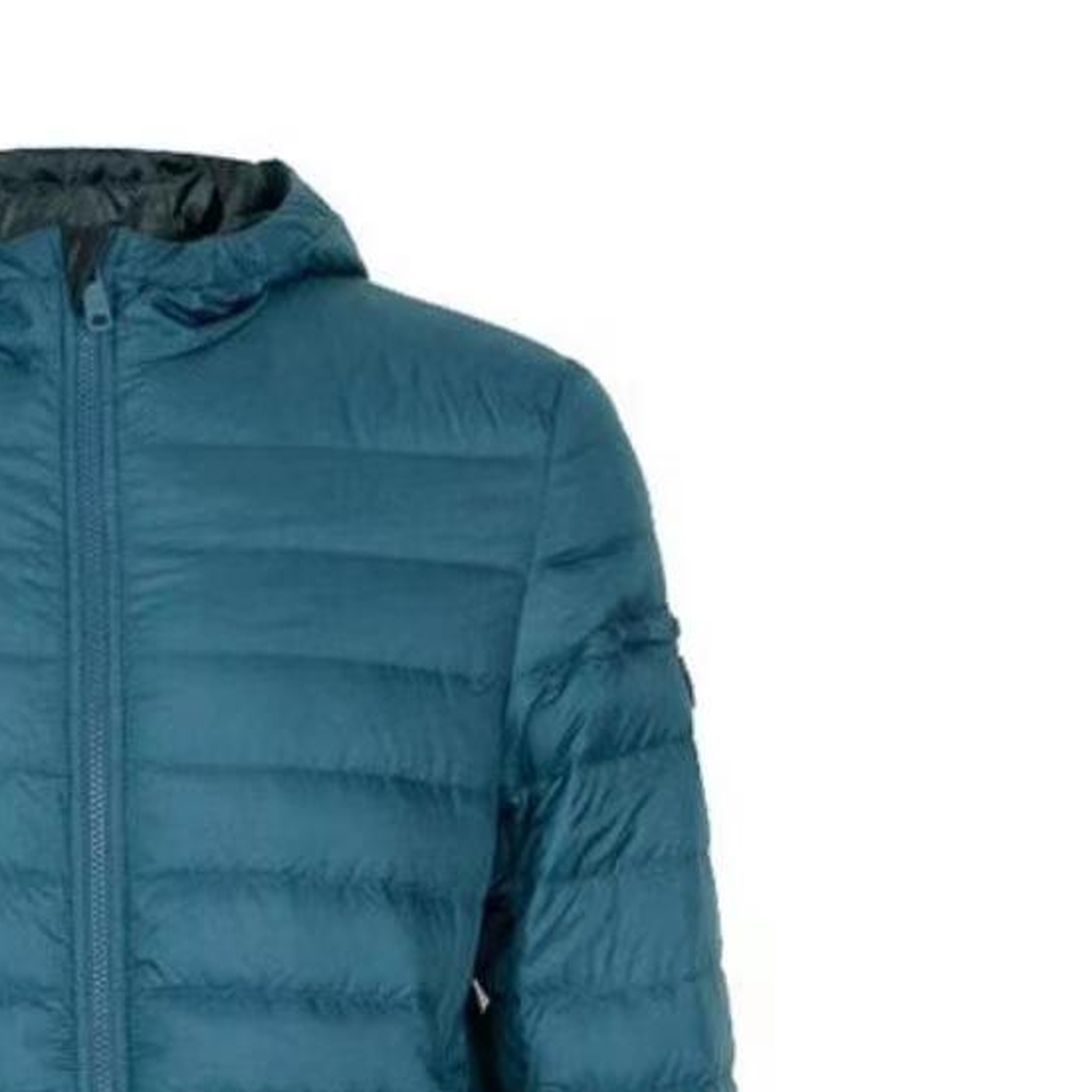 Shop PRADA FW20  Blue Hooded Zip Long Sleeve Down Jacket SGN958-1ID1-F0BQ1