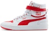 Buy Public Enemy x Puma Sky LX 'Fight The Power' 374538-01