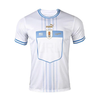 Puma 2022 World Cup Uruguay Away Fan Jersey Blue/White Striped Crewneck Tee 770285-01